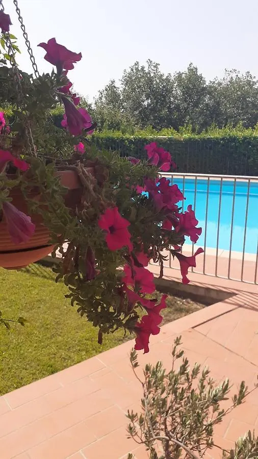 Agriturismo Il Pino - Appartamento Cipresso Gambassi Terme Itálie