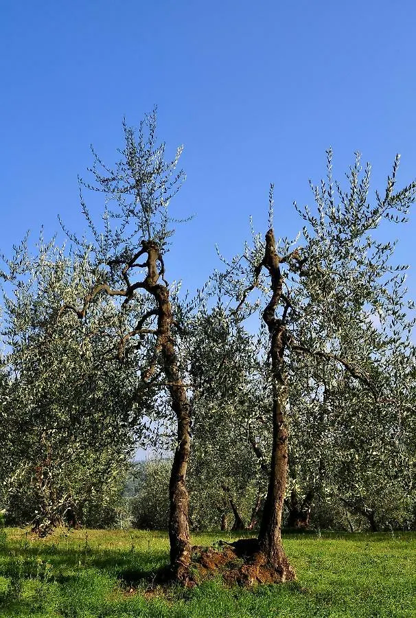 Apartmán Agriturismo Il Pino - Appartamento Cipresso Gambassi Terme Itálie