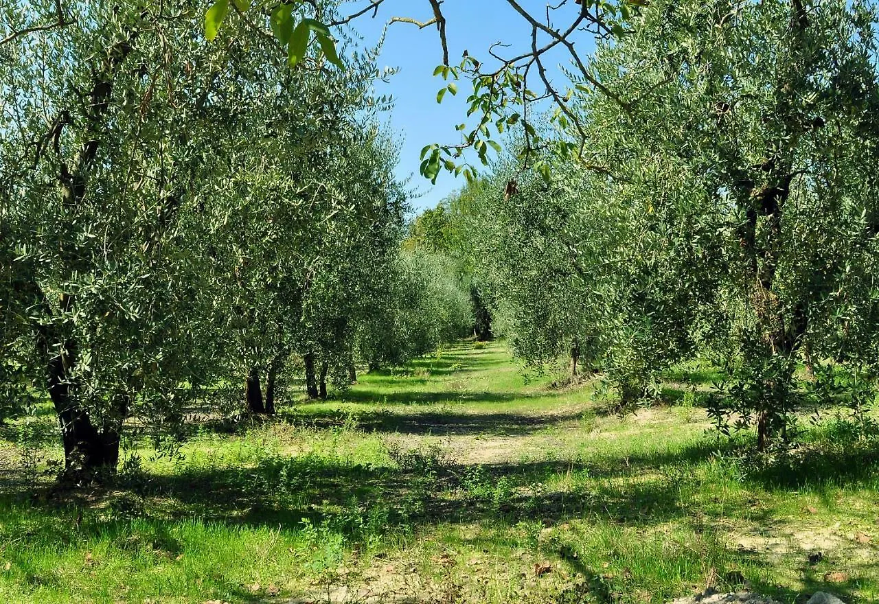 Apartmán Agriturismo Il Pino - Appartamento Cipresso Gambassi Terme